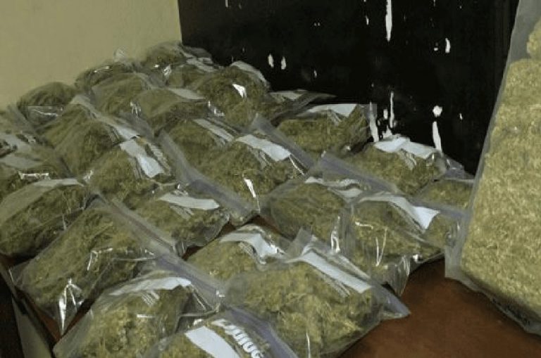Cuatro detenidos y 102 libras de marihuana incautadas en Valverde Mao; DNCD en accion!