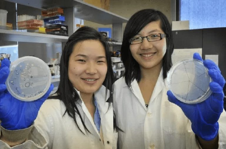 Dos estudiantes descubren bacterias que convierten plástico en agua