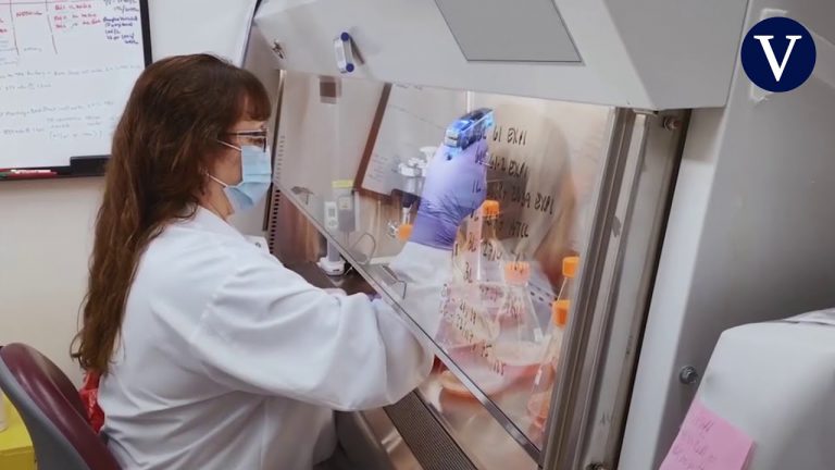 Pfizer y BionTech muestran una eficacia del 90% contra la Covid-19 segun sus datos